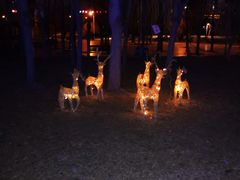 -长春公园(普阳街道)