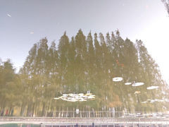 android_upload_pic-八大关景区