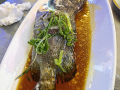 清蒸龙胆石斑鱼-达叔香味海鲜(海棠68环球美食街店)