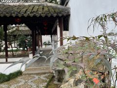 -上海醉白池公园