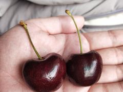 -南京众彩农副产品配送有限公司