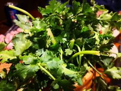 -老牌坊云南鱼豆花火锅(嵩山店)