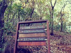 psb(3)-上海佘山国家森林公园西佘山园