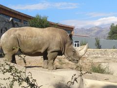-新疆天山野生动物园