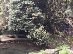 -夏霖九天银瀑风景区