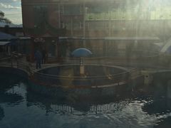 -氡泉温泉花园