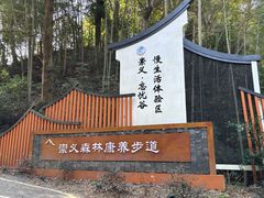 -江西阳明山国家森林公园