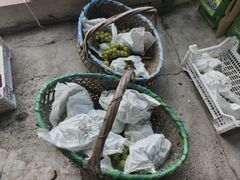 -马陆小张葡萄园农家乐