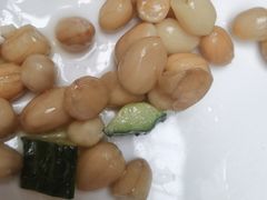 -北苑汤泉
