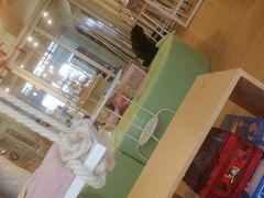 -MOYOYO猫咪咖啡店