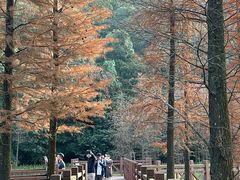-广州市石门国家森林公园