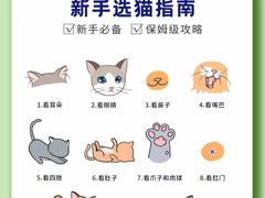 -翊宠yipet猫狗购宠庄园犬舍•猫舍