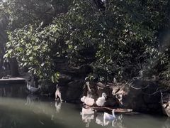 -兰亭风景区