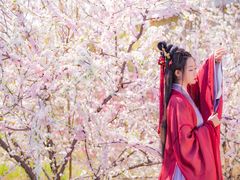 -九月鹰飞汉服摄影工作室