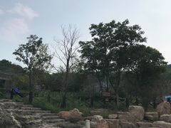 -巢湖姥山岛