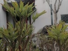 -苏州园林博物馆