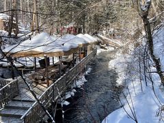 -峡谷浮石林景区