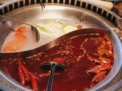 -辣伍鲜毛肚老火锅(元一店)