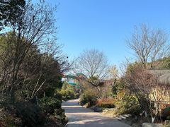 -杭州开元森泊度假乐园