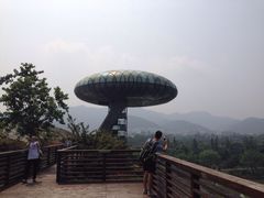 iphone_upload_pic-中国湿地博物馆