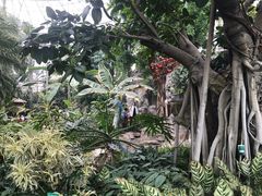 -北京植物园-展览温室