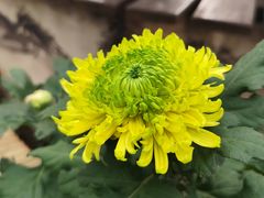 -共青国家森林公园-售票处