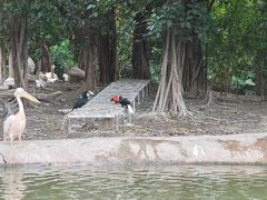 -广州长隆飞鸟乐园