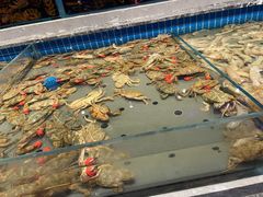 -一方渔歌蒸汽海鲜自助(文化路万达广场店)