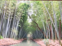 -同里国家湿地公园