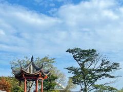 -顺峰山公园