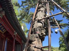 -潭柘寺景区