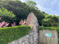 -桃花岛风景旅游区
