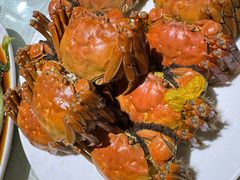 -二姐家三个拿手菜·北塘海鲜·大馅锅贴王(北辰店)