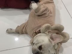 -北京恒爱动物医院(清景园分院)