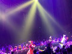 -珠海横琴长隆《卡卡虎奇遇记》