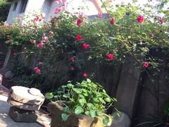 -亦缘居私家别院
