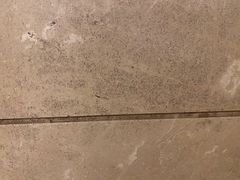 -广州粤海喜来登酒店