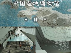-中国湿地博物馆