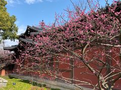-广富林郊野公园