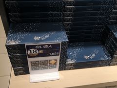 -关西国际机场直营免税店