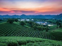 -帐篷客·溪龙茶谷度假酒店