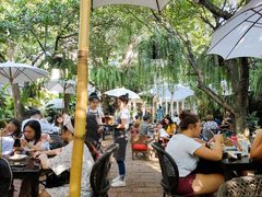 -Fern Forest Cafe