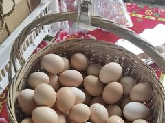 -马陆小张葡萄园农家乐