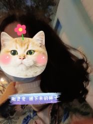-侨治发型