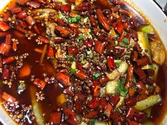 -雲蜀龙阁·金牌水煮鱼(方庄店)