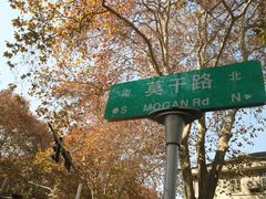 -颐和路民国时期公馆风貌区