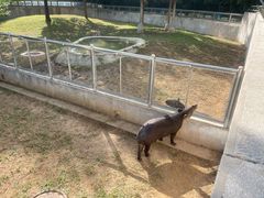 -石家庄市动物园