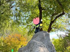 -靖宇公园