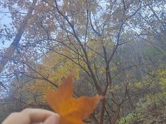 -玉渡山自然风景区