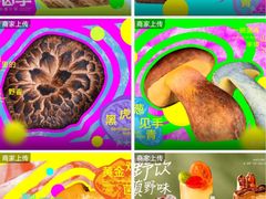 -芸山季·云南山珍菌火锅(人民广场来福士店)